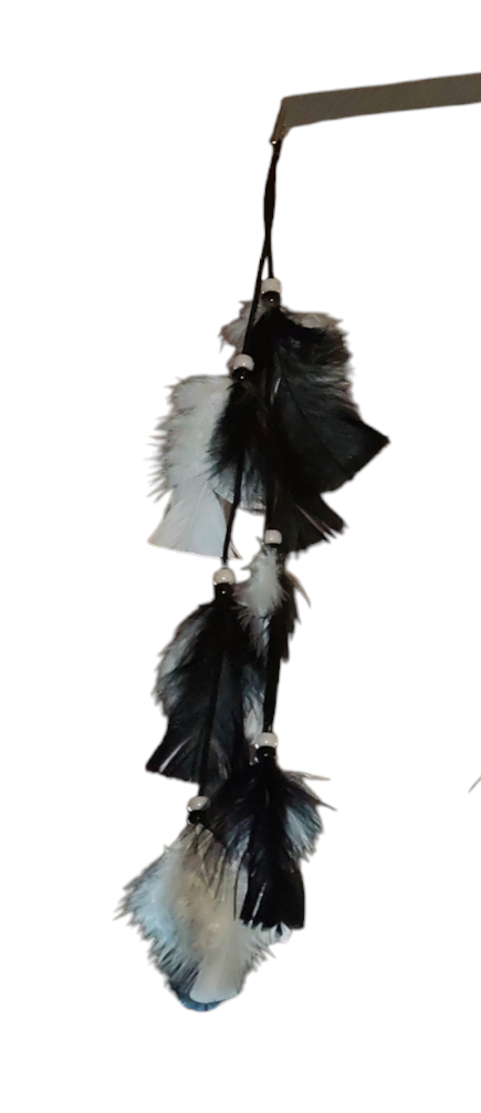 Queue de chapeau plume noir et blanc