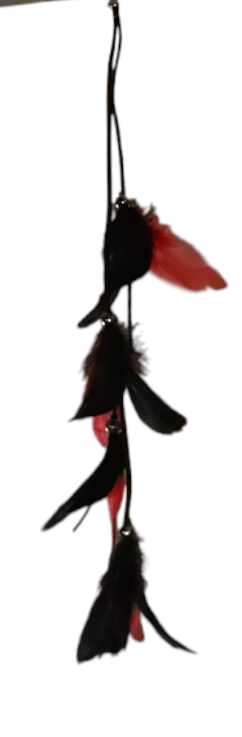 Queue de chapeau plume noir et rouge