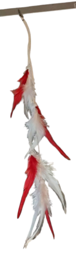 Queue de chapeau plume rouge et blanc