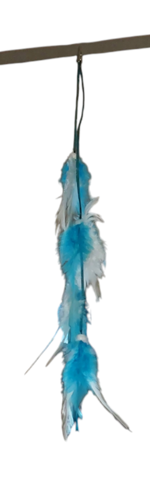 Queue de chapeau plumes bleu et blanc